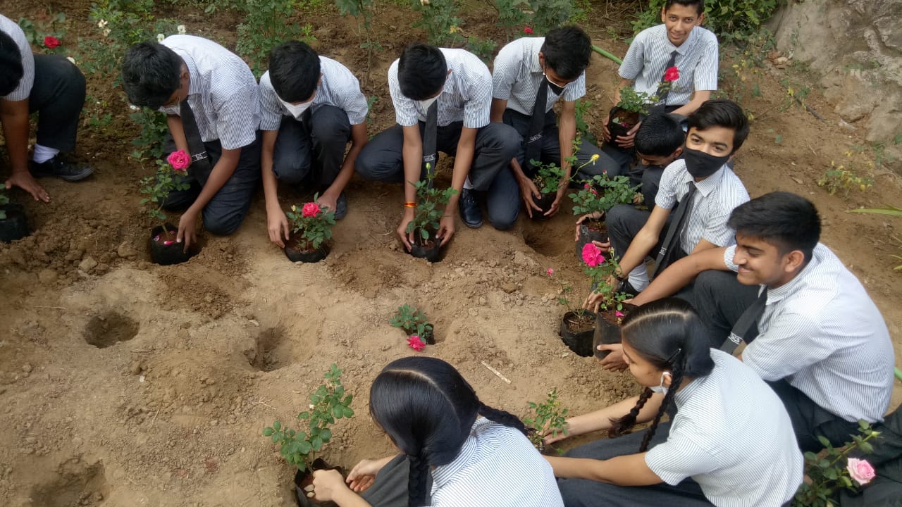 STD 9 Supw Plantation